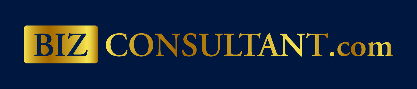Biz Consulting
